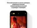 iPhone 12 Pro 512Gb Золотой слайд 5