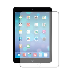 Защитное стекло iPad Pro 11
