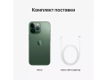 iPhone 13 Pro 1TB Альпийский зеленый слайд 10