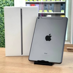 iPad Mini 5 Space Gray 64Gb Wi-Fi