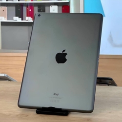 iPad 9 256Gb Space Gray Wi-Fi