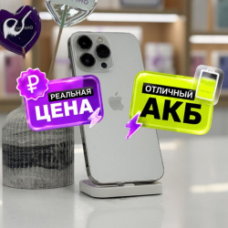 iPhone 13 Pro 256Gb Серебристый