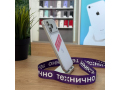 Apple iPhone 17 Pro Max 256Gb Silver (eSim) слайд 2